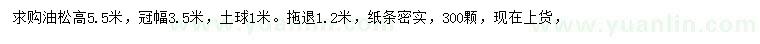 求購高5.5米油松