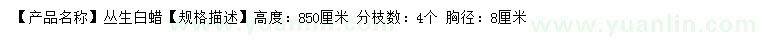 求購(gòu)高850公分叢生白蠟