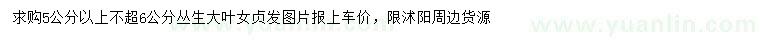 求購5公分以上不超6公分叢生大葉女貞