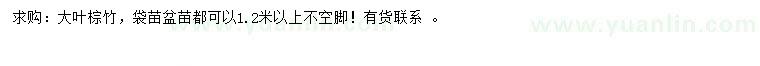 求購(gòu)1.2米以上大葉棕竹