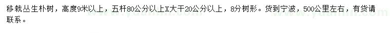 求購高9米以上叢生樸樹