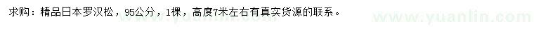 求購95公分日本羅漢松