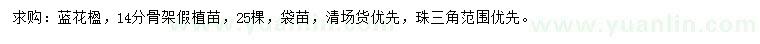 求購(gòu)14公分藍(lán)花楹