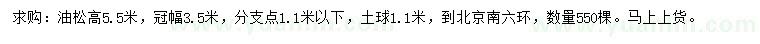 求購(gòu)高5.5米油松