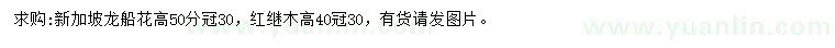 求購高50公分新加坡龍船花、高40公分紅繼木
