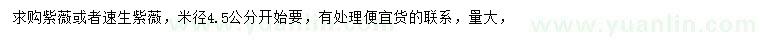 求購米徑4.5公分起紫薇或者速生紫薇