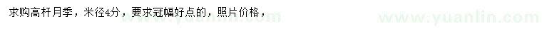 求購米徑4公分高桿月季
