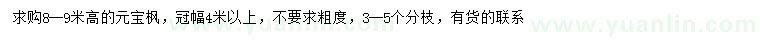 求購高8-9米元寶楓