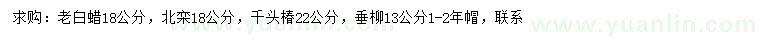 求購(gòu)老白蠟、北欒、千頭椿等
