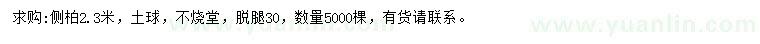 求購2.3米側柏