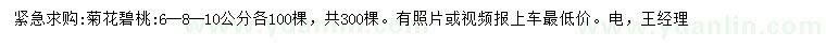 求購6、8、10公分菊花碧桃