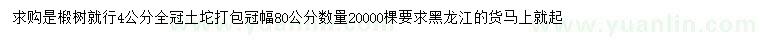 求購4公分椴樹