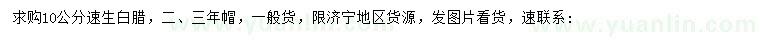 求購10公分速生白蠟