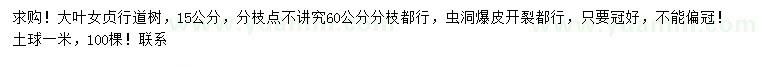 求購15公分大葉女貞