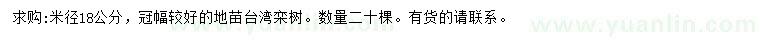求購米徑18公分臺灣欒樹