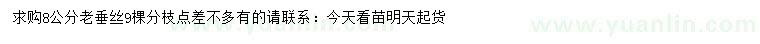 求購8公分老垂絲
