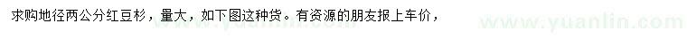 求購(gòu)地徑2公分紅豆杉
