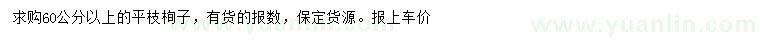 求購60公分以上平枝栒子