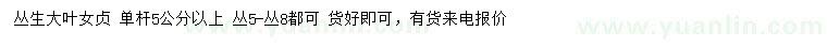 求購單桿5公分以上叢生大葉女貞
