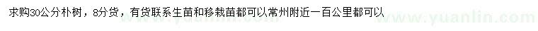 求購30公分樸樹