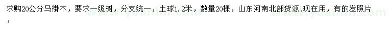 求購(gòu)20公分馬褂木