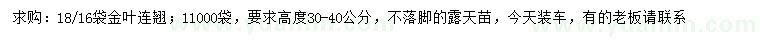 求購高30-40公分金葉連翹