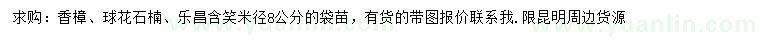 求購(gòu)香樟、球花石楠、樂(lè)昌含笑