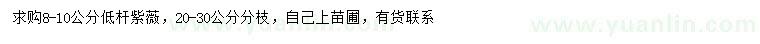 求購8-10公分紫薇