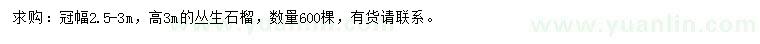 求購冠幅2.5-3米叢生石榴