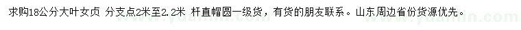 求購18公分大葉女貞