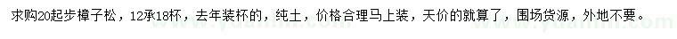 求購20公分以上樟子松