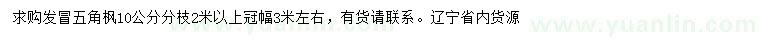求購(gòu)10公分五角楓