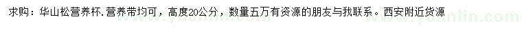 求購高20公分華山松