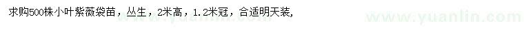 求購高2米小葉紫薇