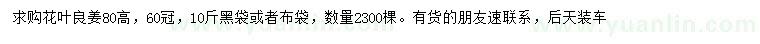 求購高80公分花葉良姜