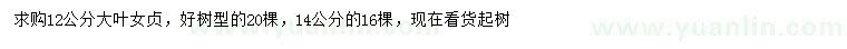 求購(gòu)12、14公分大葉女貞