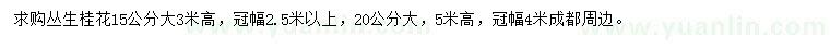 求購15公分叢生桂花