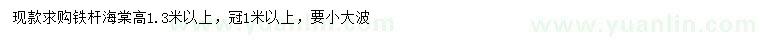 求購高1.3米以上鐵桿海棠