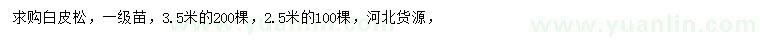 求購(gòu)2.5、3.5米白皮松