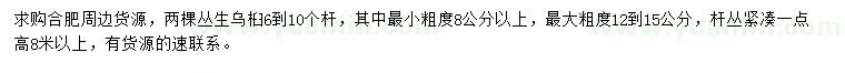 求購叢生烏桕