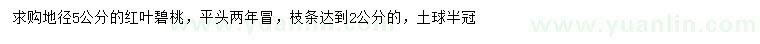 求購地徑5公分紅葉碧桃