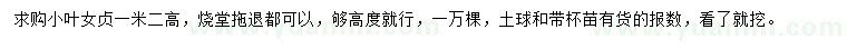 求購高1.2米小葉女貞