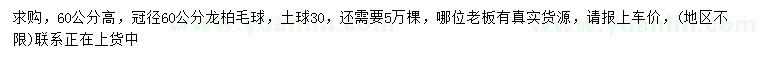 求購(gòu)高60公分龍柏球