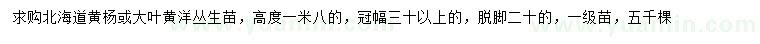 求購(gòu)高1.8米北海道黃楊、叢生大葉黃楊