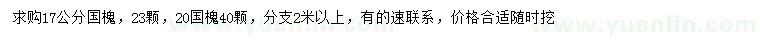 求購17、20公分國槐