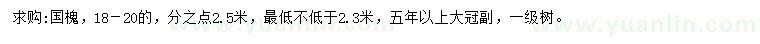 求購18-20公分國槐