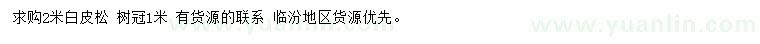 求購2米白皮松