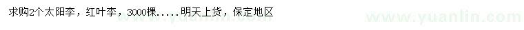 求購太陽李、紅葉李