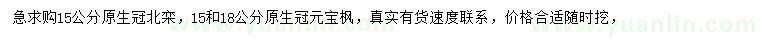 求購15公分北欒、15/18公分元寶楓