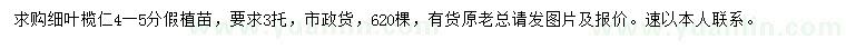 求購4-5公分細(xì)葉欖仁